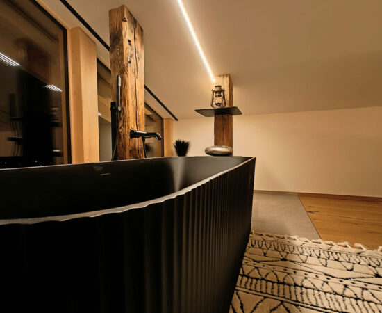 chalet-bucher-10 chalet-bucher-10